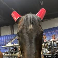 Presley Hill (phill0157)