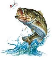 Jumping Out Of Water I Can T Wait To Go Fishing Fish Drawings Fish Painting Fish Art
