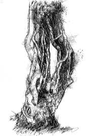 Roots Seanbriggs Tree Drawing Tree Art Sketch A Day