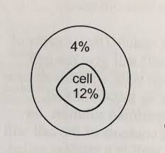 Maybe you would like to learn more about one of these? Section 7 3 Passive Transport Osmosis Flashcards Quizlet