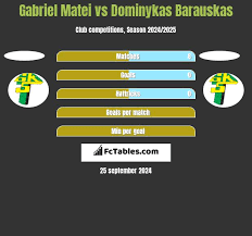 Gabriel Matei statistics history, goals, assists, game log