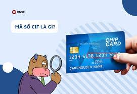 Mã số CIF là gì? Những điều cần biết về mã số CIF trên thẻ ngân hàng