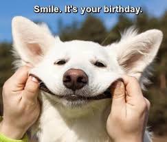 Let me ask him. hey willie! Birthday Quotes And Jokes