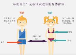 Small projection of a woman's or girl's breast. Be Safe What Are Private Parts Paautism Org An Asert Autism Resource Guide