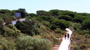 The commune spans an area of 14.1 km2 (5 sq mi). Dia De Los Bosques 2019 10 Bosques De Andalucia Para Disfrutar En Primavera