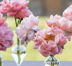 Send joy from one end of the country to the other! Flower Delivery Sustainable Ethical Flowers Send Bloom Flowers