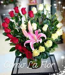Como la flor flowers and balloons. Como La Flor Comolaflorflorist Com Home Facebook