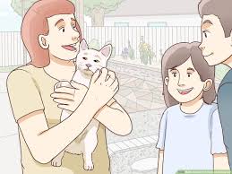 Kittens born in the wild will have no reason to. How To Earn The Trust Of A Stray Cat 10 Steps With Pictures