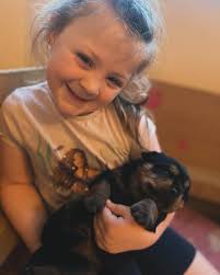 Rottamore Rottweilers