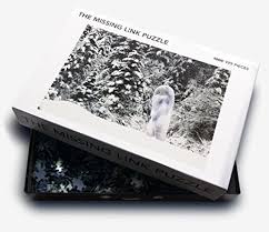 The man behind the desk says a room is $30 so each man pays $10 and goes to the room. The Missing Link Puzzle 1000 999 Pieces One Missing Thaler Peter Denicke Lars 9783942245074 Amazon Com Books