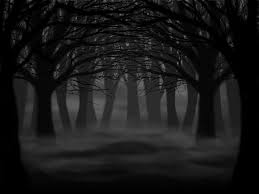 Dark Forest By Shystriker D3iqy09 Jpg 1024 768 Dark Forest Forest Background Forest Drawing Free for commercial use no attribution required high quality images. dark forest forest background