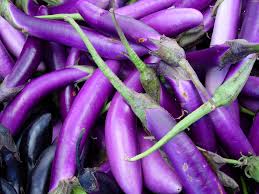 For japanese recipes, look for japanese eggplant that is long and slender, with deep purple skin. Growing Japanese Eggplant Is Easy