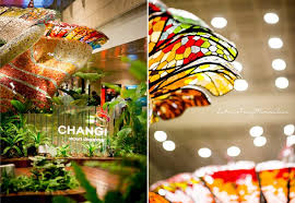 Check In Early To Check Out These Surprises At Changi Airport