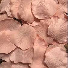 Freeze Dried Rose Petals Ivory 10 Cups Of Real Rose Petals Etsy Rustic Wedding Flowers Navy Wedding Flowers Country Wedding Flowers