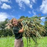 Great Garlic Harvest — MEVO