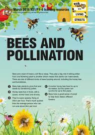 Download bees pollinating flower images and photos. Wow March 2016 Bees And Pollination Ks1 Teaching Resources