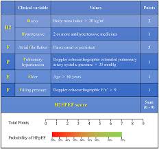 During the initial evaluation of systolic or diastolic heart failure your doctor or another healthcare professional will take a detailed history and perform the following: Scielo Brasil Heart Failure With Preserved Ejection Fraction An Update On Pathophysiology Diagnosis Treatment And Prognosis Heart Failure With Preserved Ejection Fraction An Update On Pathophysiology Diagnosis Treatment And Prognosis
