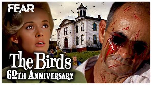 The Birds At 60: Revisiting An Alfred Hitchcock Classic | Fear