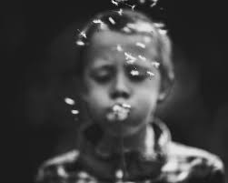 Rob Webb Photography