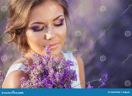 8,825 Lavander Field Stock Photos