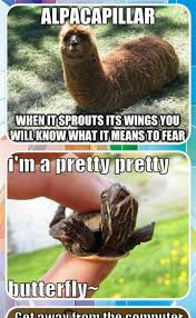 Top 25 funny animal picture quotes #humor. Funny Animal Pictures With Quotes For Android Apk Download