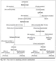 Qualitative And Quantitative Tests For Carbohydrates