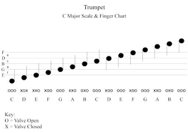 14 Trumpet Fingering Chart Trumpet Scales Chart Www