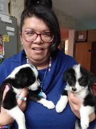 Getting some puppy love from Memphis