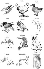 Picture Of A Variety Of Birds Page Also Includes A Chart Describing Their Beaks Feet Diets Animal Adaptations Beak Birds