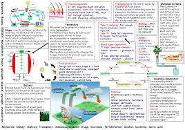Pin On Aqa Gcse Revision