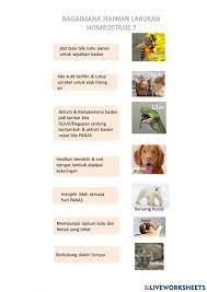 Pengenalan • dalam keadaan normal, sel berfungsi untuk mengekalkan keadaan keseimbangan dalam badan • persekitaran luaran sel (ecf) juga perlu stabil untuk membolehkan sel dapat berfungsi dgn baik. Homeostasis Dalam Haiwan Worksheet