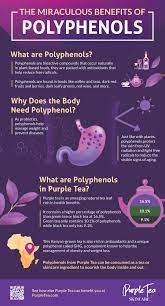 What Are Polyphenols Infographic Purple Tea Benefits Polyphenols Polyphenols Food Tea Benefits