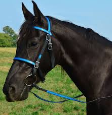 Bit And Bridle Clothing Size Chart Teal Blue Overlay English Bridle Reins Beta Biothane Trail Endurance Any Size Betabiothane English Bridle Horses Bridle