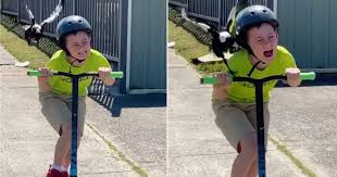 Magpie season is also prime gopro season, with footage serving as a reminder while we may be top of the food chain, our heads are soft and a magpie's beak is hard. Magpie Filmed Repeatedly Swooping At Young Boy On Scooter 9gag