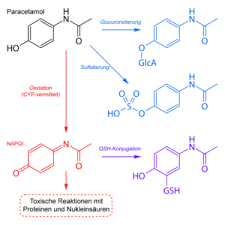 Paracetamol Wikipedia