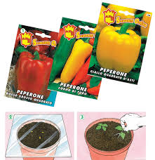 I peperoni sono le piante più meravigliose da coltivare, poiché crescono in una varietà di colori, dimensioni, sapori e livelli piccanti. Coltivare Peperoni Giardinaggio Fiori Animali E Centinaia Di Articoli Passo Passo