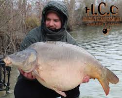 Boutique Horizon Carpe Creation Pour Voir Plus Loin