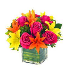 Same day delivery flowers delivered today by flowerwyz. Flower Delivery Southend On Sea Online Florist Southend On Sea