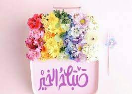 صور ورد صباح الخير عالم الصور good morning images flowers beautiful morning messages good morning cards