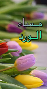 pin on مساء الورد