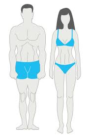Wide rib cage womenshow all. Body Types How To Exercise And Eat For Your Body