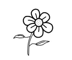 Berikut ini kumpulan gambar sketsa bunga, gambar bunga, dan lukisan bunga yang mudah ditiru, diantaranya seperti sketsa bunga matahari, mawar, tulip, sakura, teratai, sepatu, melati, dll. Cara Menggambar Bunga Yang Mudah Cilacap Klik