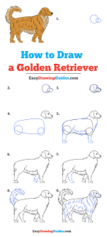 In this video i'll be showing you step by step how to draw a golden retriever puppy. How To Draw A Golden Retriever Really Easy Drawing Tutorial