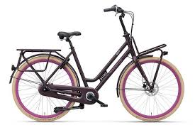 Batavus Quip Fahrrad E Bike Radfahren