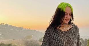 Billie eilish 's apple tv+ documentary is finally here and it gives fans an intimate look into her personal life, career and rise to fame. Who Is Billie Eilish S Ex Boyfriend Brandon Q Adams