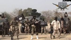 Image result for boko haram