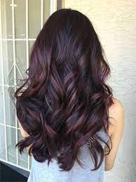 Plum Hair Deep Violet Base And Mahogany Violet Toned Balayage Used All Pravana Spring Hair Color Plum Hair Hair Styles
