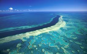 With joe james, harold hopkins, ken james, george assang. Photo Of The Week The Great Barrier Reef The Shift