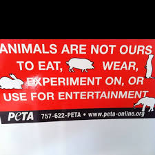 Pin On Reasons I Am Vegan