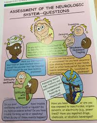 Neurological System Pediatric Nurse Practitioner Health Assessment Nursing Pediatric Nursing